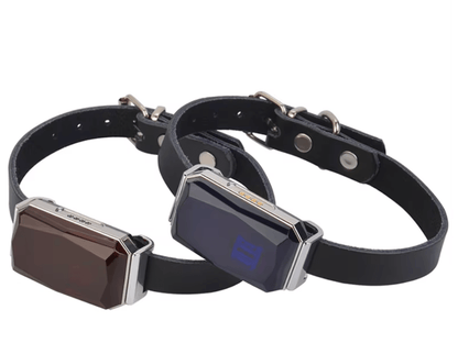 Compact GPS Locator Device with Live Tracking
