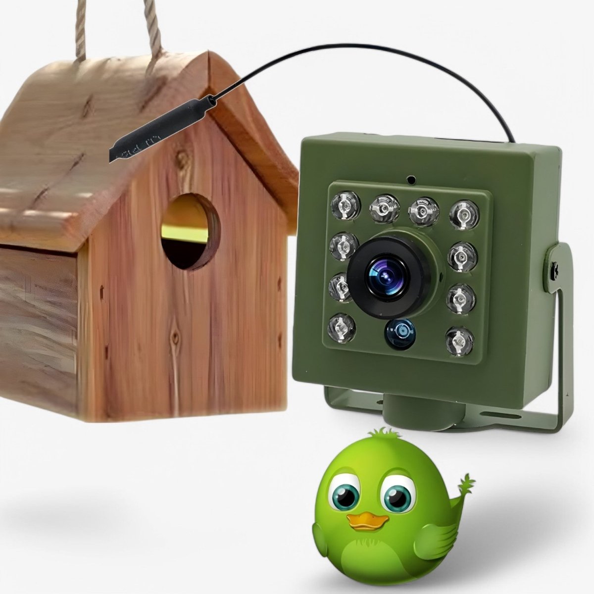 Outdoor WiFi Bird Box Camera 1080p HD Night Vision - Cofik