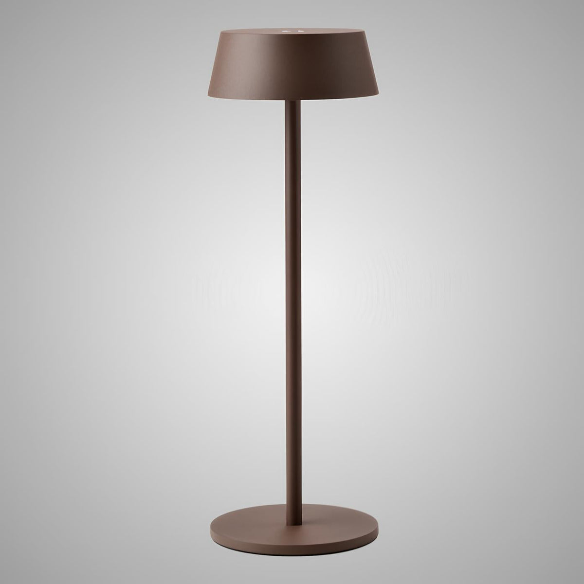 Stylish Contemporary Desk Light