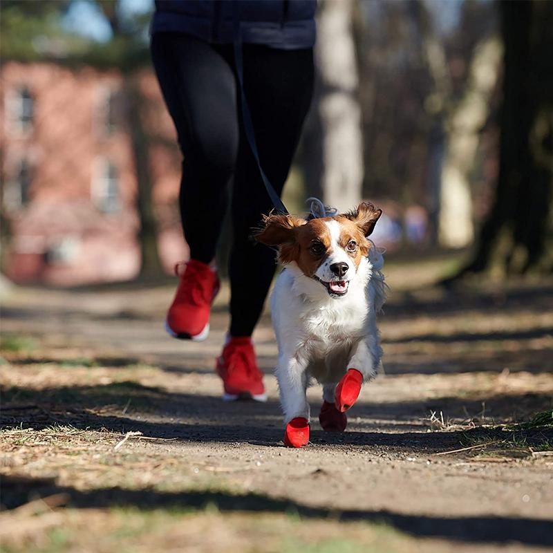 Waterproof Dog Boot with Good Grip and Comfort