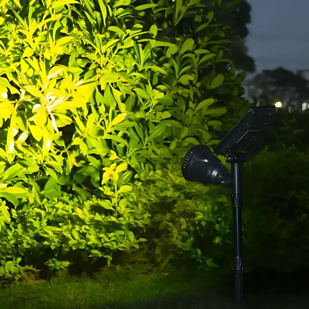 Outdoor Solar Powered Yard Light