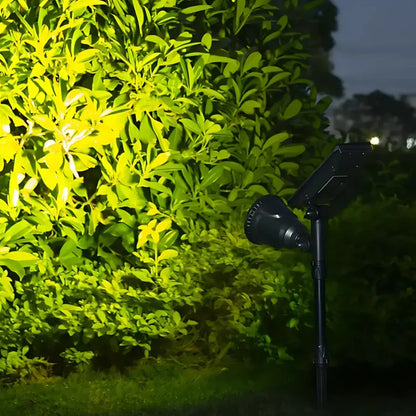 Outdoor Solar Powered Yard Light
