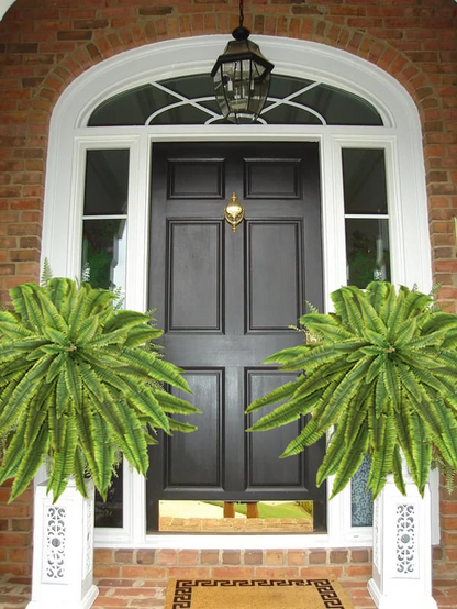 Durable Outdoor Boston Fern | Realistic UV Protected Plant