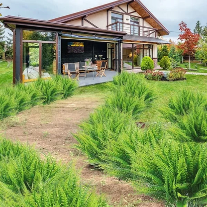 Durable Outdoor Boston Fern | Realistic UV Protected Plant