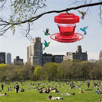 Cofik | Outdoor Bird Feeder with Squirrel Proof Hang