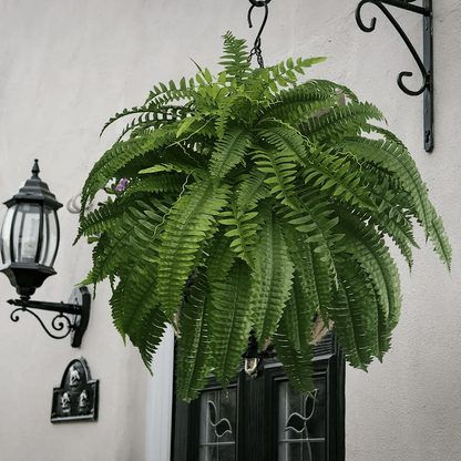 Durable Outdoor Boston Fern | Realistic UV Protected Plant