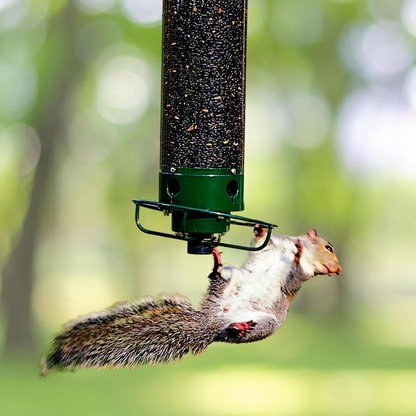 Wildlife Proof Garden Hanging Bird Feeder
