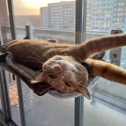 Space-Saving Cat Window Perch with Easy Mount