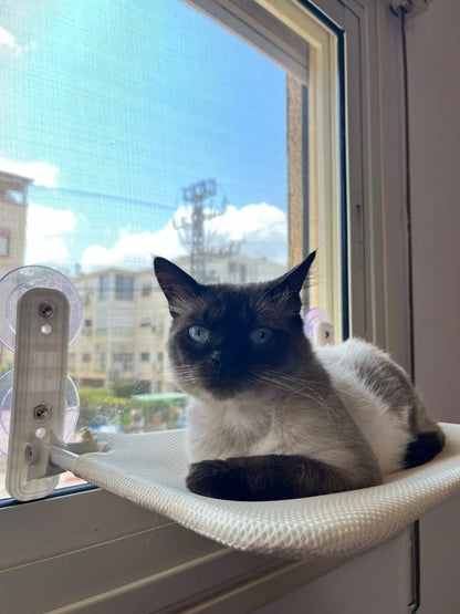 Space-Saving Cat Window Perch with Easy Mount