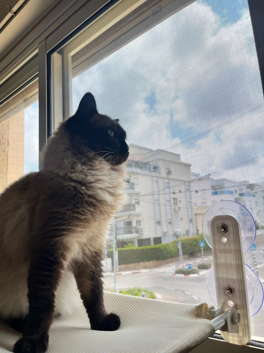 Space-Saving Cat Window Perch with Easy Mount