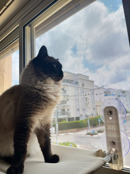 Space-Saving Cat Window Perch with Easy Mount