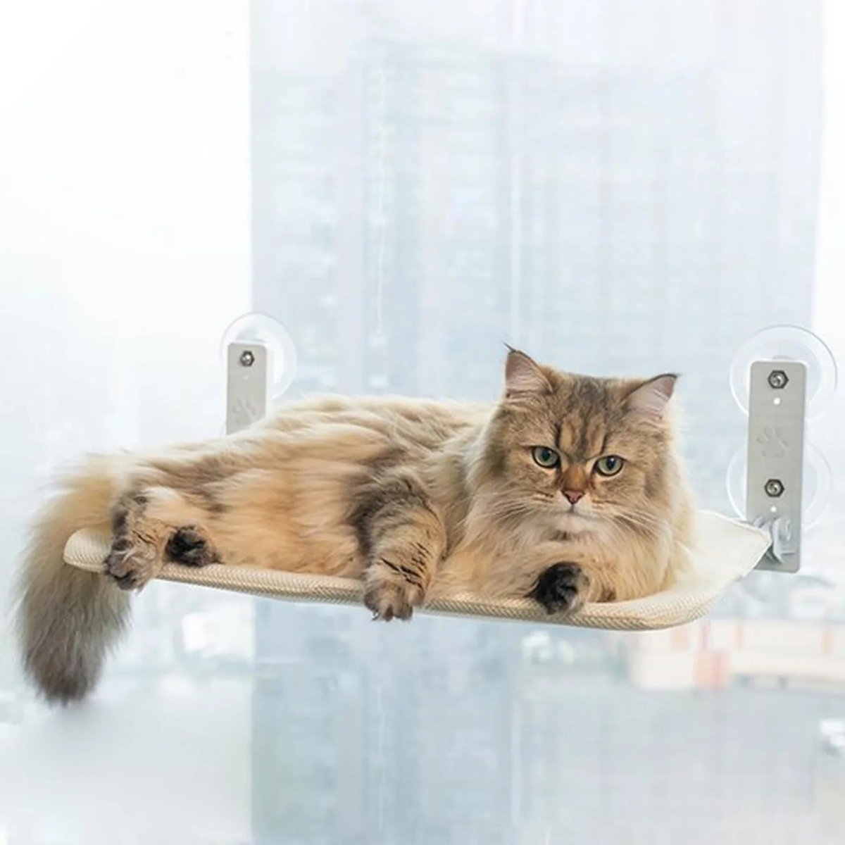 Space-Saving Cat Window Perch with Easy Mount