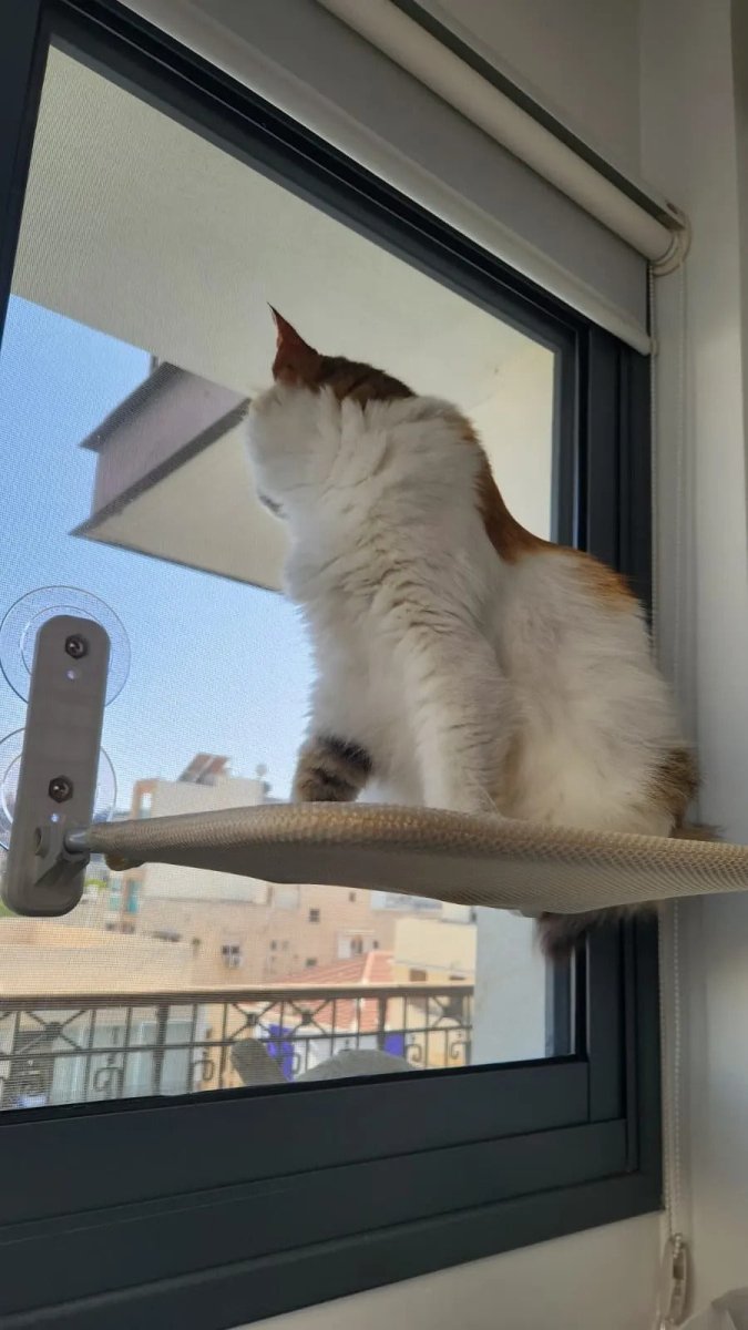 Space-Saving Cat Window Perch with Easy Mount