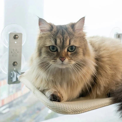 Space-Saving Cat Window Perch with Easy Mount