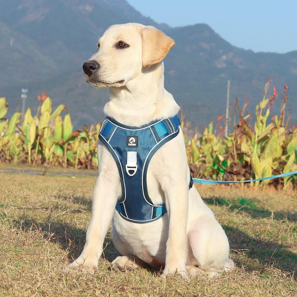 Easy Walk Comfortable Dog Harness - Cofik
