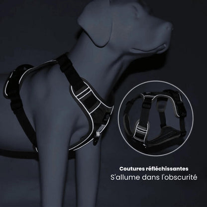 Easy Walk Comfortable Dog Harness