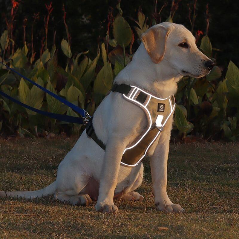 Easy Walk Comfortable Dog Harness
