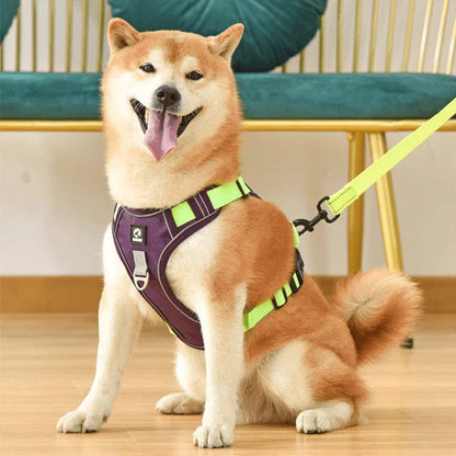 Easy Walk Comfortable Dog Harness