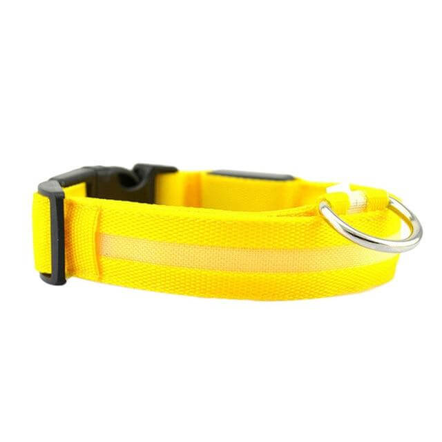 Bright Pet LED Safety Collar