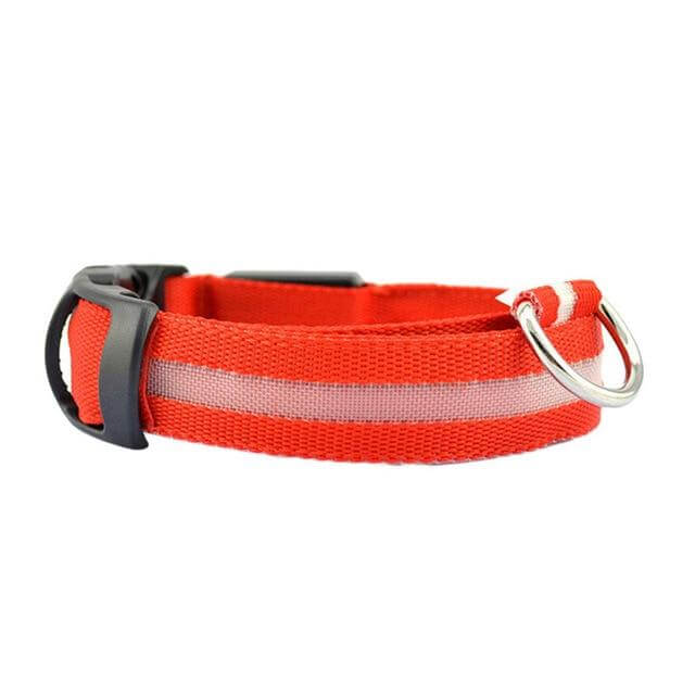 Bright Pet LED Safety Collar
