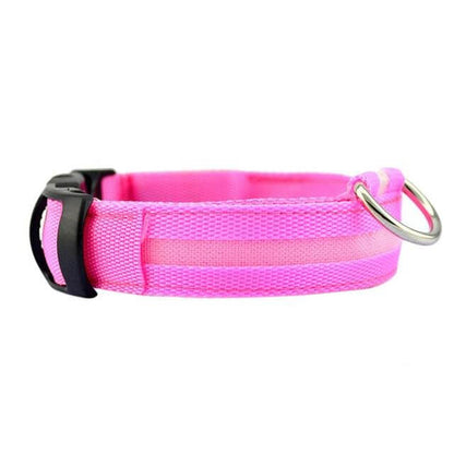 Bright Pet LED Safety Collar
