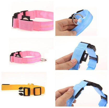 Bright Pet LED Safety Collar