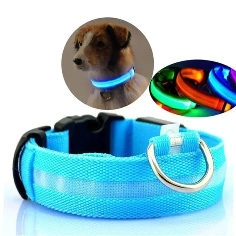 Bright Pet LED Safety Collar - Cofik