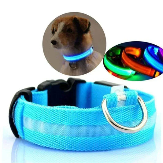 Bright Pet LED Safety Collar - Cofik