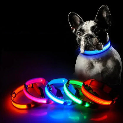Bright Pet LED Safety Collar