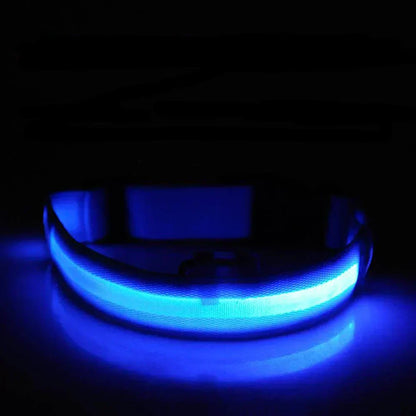 Bright Pet LED Safety Collar