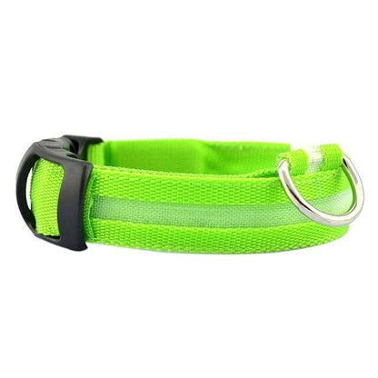 Bright Pet LED Safety Collar