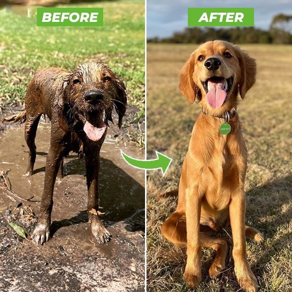 Easy Pet Shower Spray Nozzle for Dogs