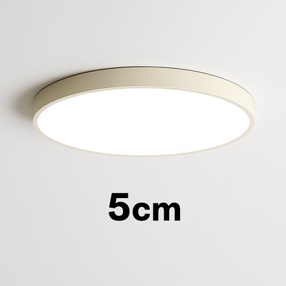 Modern Dimmable LED Ceiling Light Fixtures