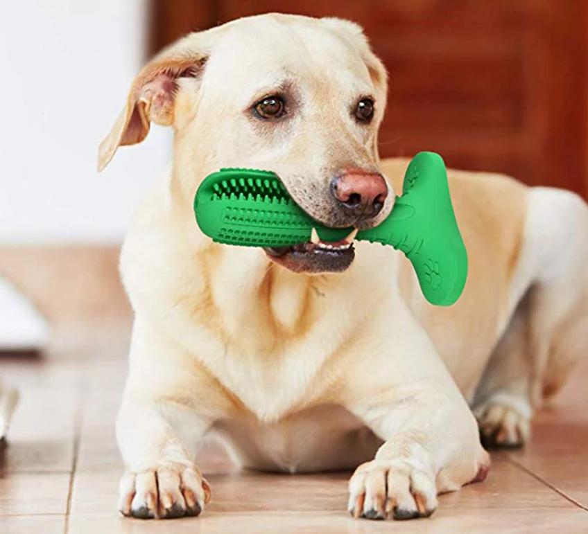 Fun Pet Dental Chew Toy