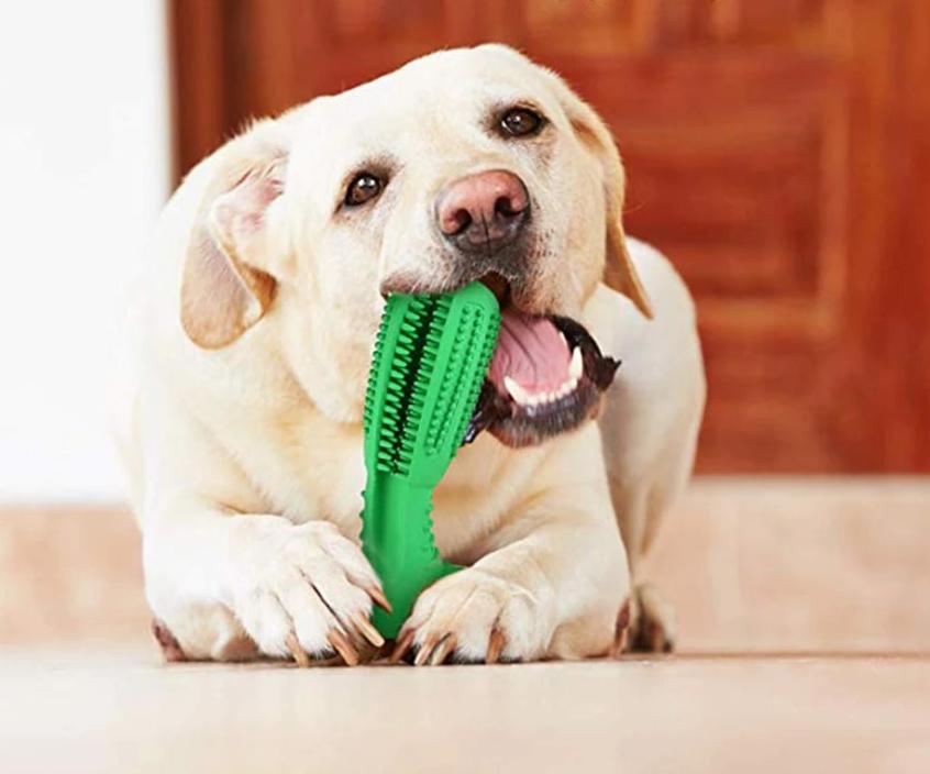 Fun Pet Dental Chew Toy - Cofik