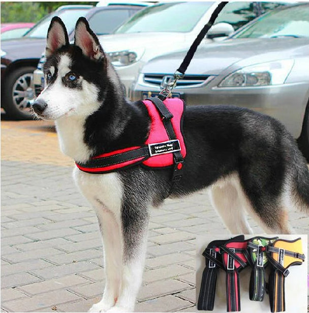 Comfortable Pet Walking Vest