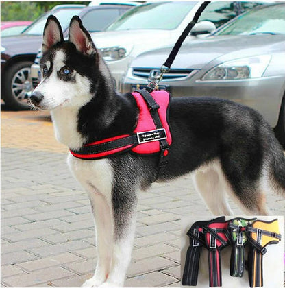 Comfortable Pet Walking Vest