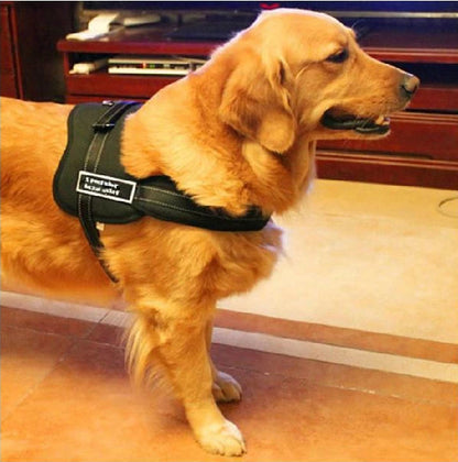 Comfortable Pet Walking Vest