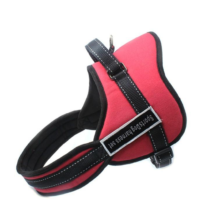 Comfortable Pet Walking Vest