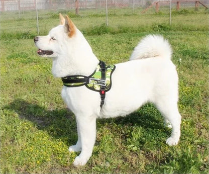 Comfortable Pet Walking Vest