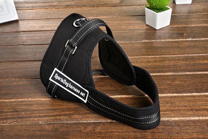 Comfortable Pet Walking Vest
