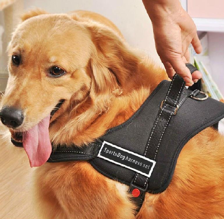 Comfortable Pet Walking Vest