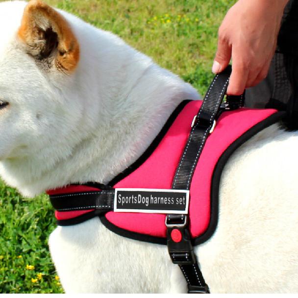 Comfortable Pet Walking Vest - Cofik