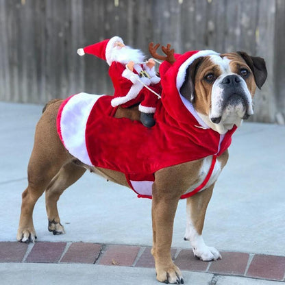 Fun Holiday Pet Outfit