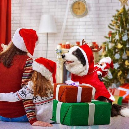 Fun Holiday Pet Outfit