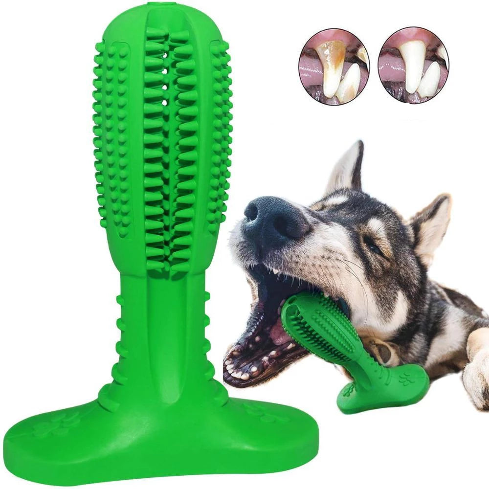 Fun Pet Dental Chew Toy