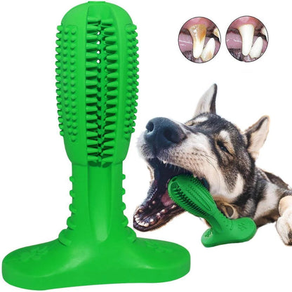 Fun Pet Dental Chew Toy