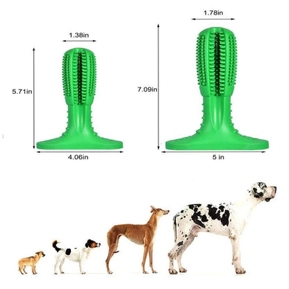 Fun Pet Dental Chew Toy