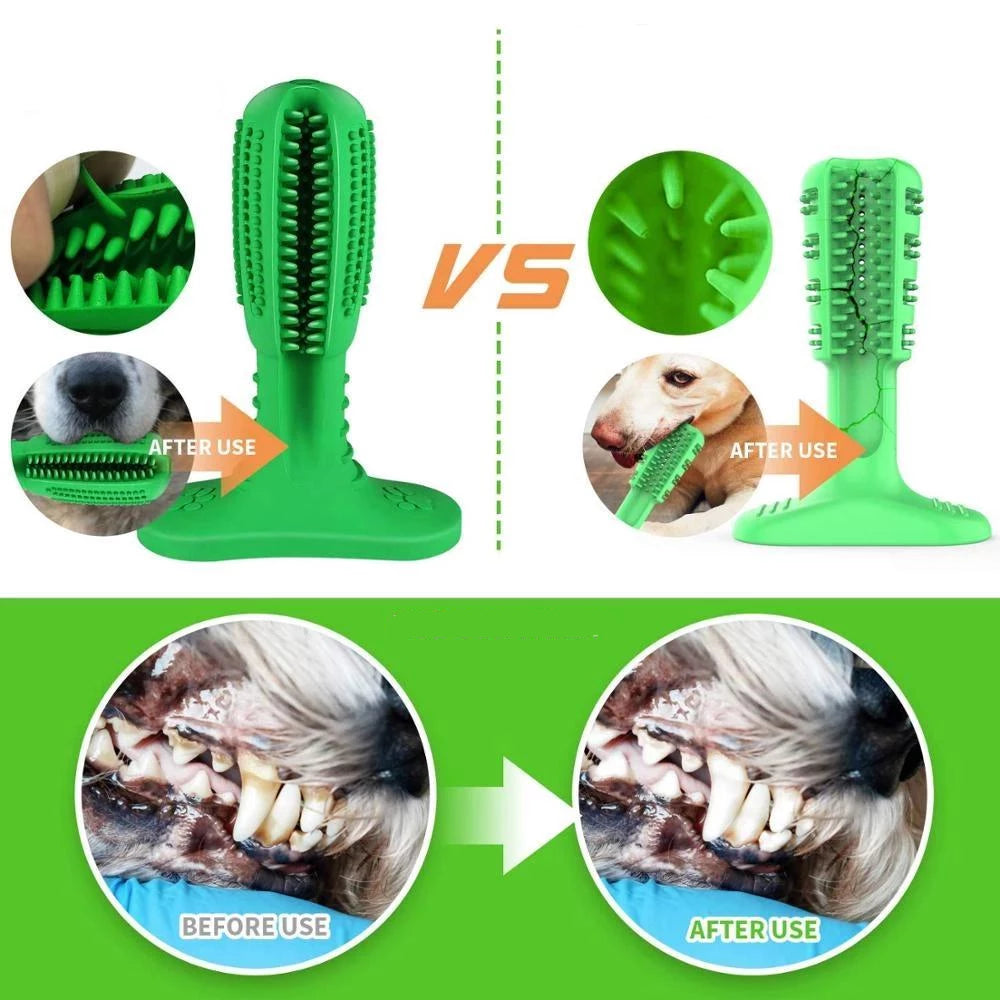 Fun Pet Dental Chew Toy