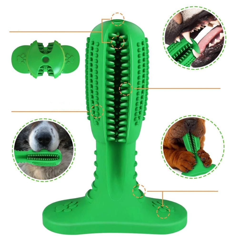 Fun Pet Dental Chew Toy